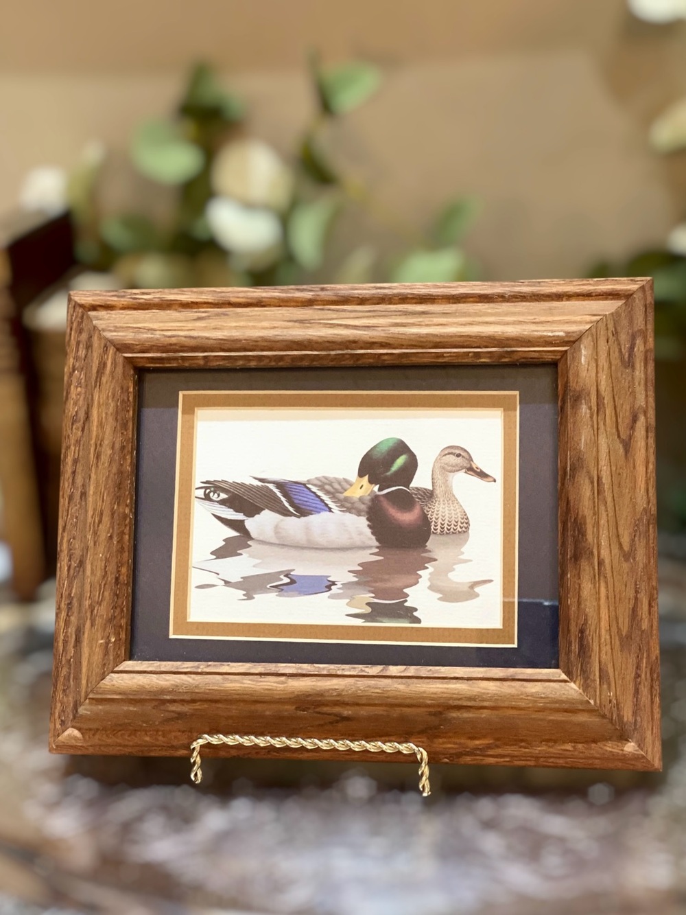Vintage Mallard Duck Print Wood Framed under Glass